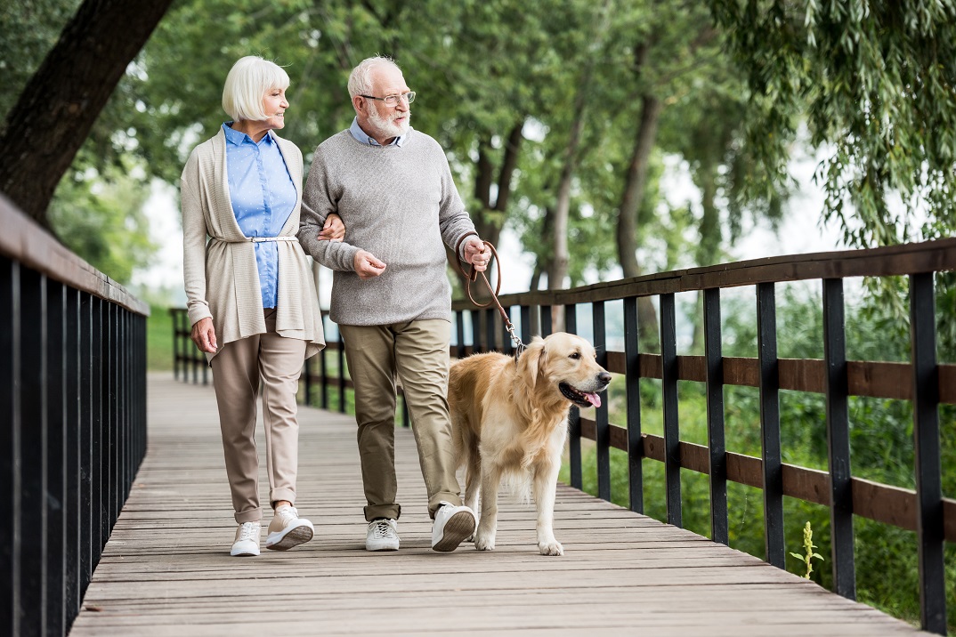 senior couple taking dog for a walk on a bridge