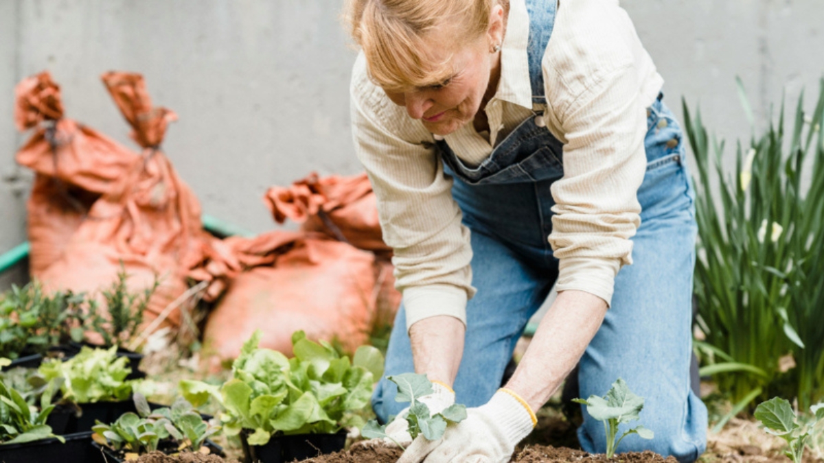 Gardening Tips for Seniors Daleville, VA | The Glebe