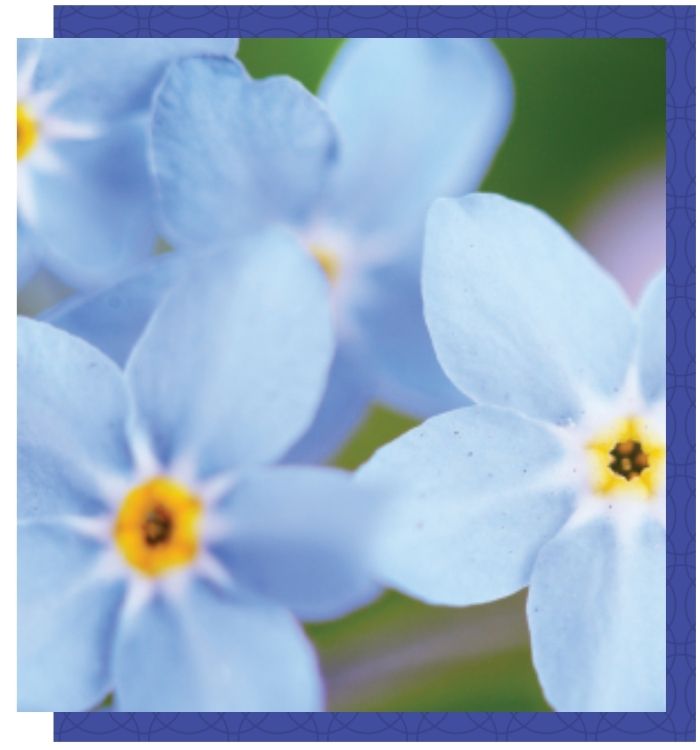 Skilled Nursing
